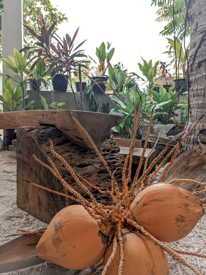 Hotel Dhoadhi Retreat Thulusdhoo Zewnętrze zdjęcie