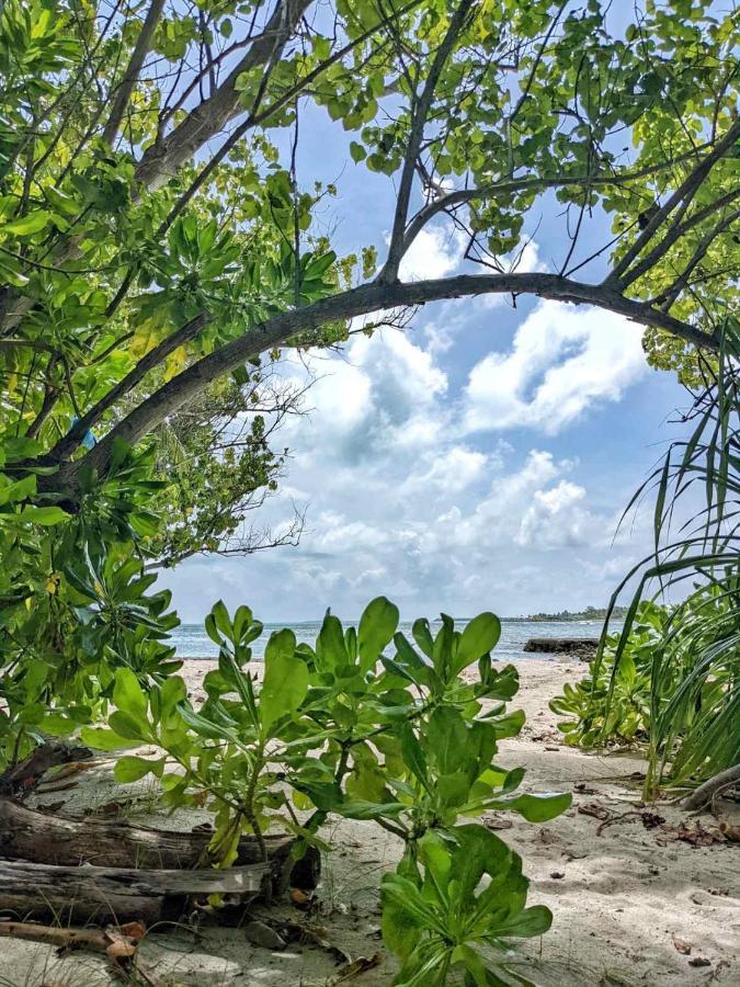 Hotel Dhoadhi Retreat Thulusdhoo Zewnętrze zdjęcie