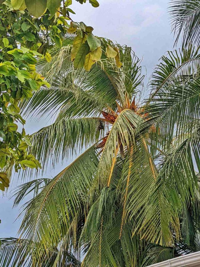 Hotel Dhoadhi Retreat Thulusdhoo Zewnętrze zdjęcie